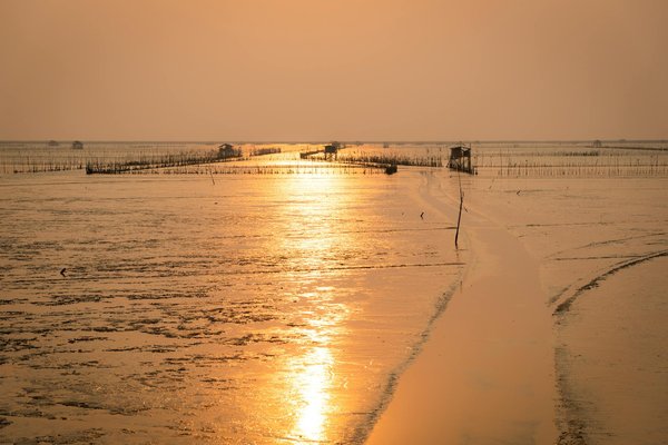 Louer une voiture à ajaccio : le meilleur choix pour explorer