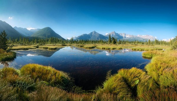 Globe Trotteurs Et Vacances