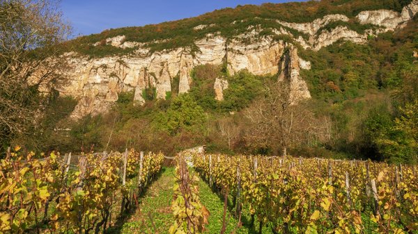 Comment organiser une visite des vignobles en Afrique du Sud sans guide touristique?